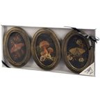 Hidden Garden Hanging Decor Set