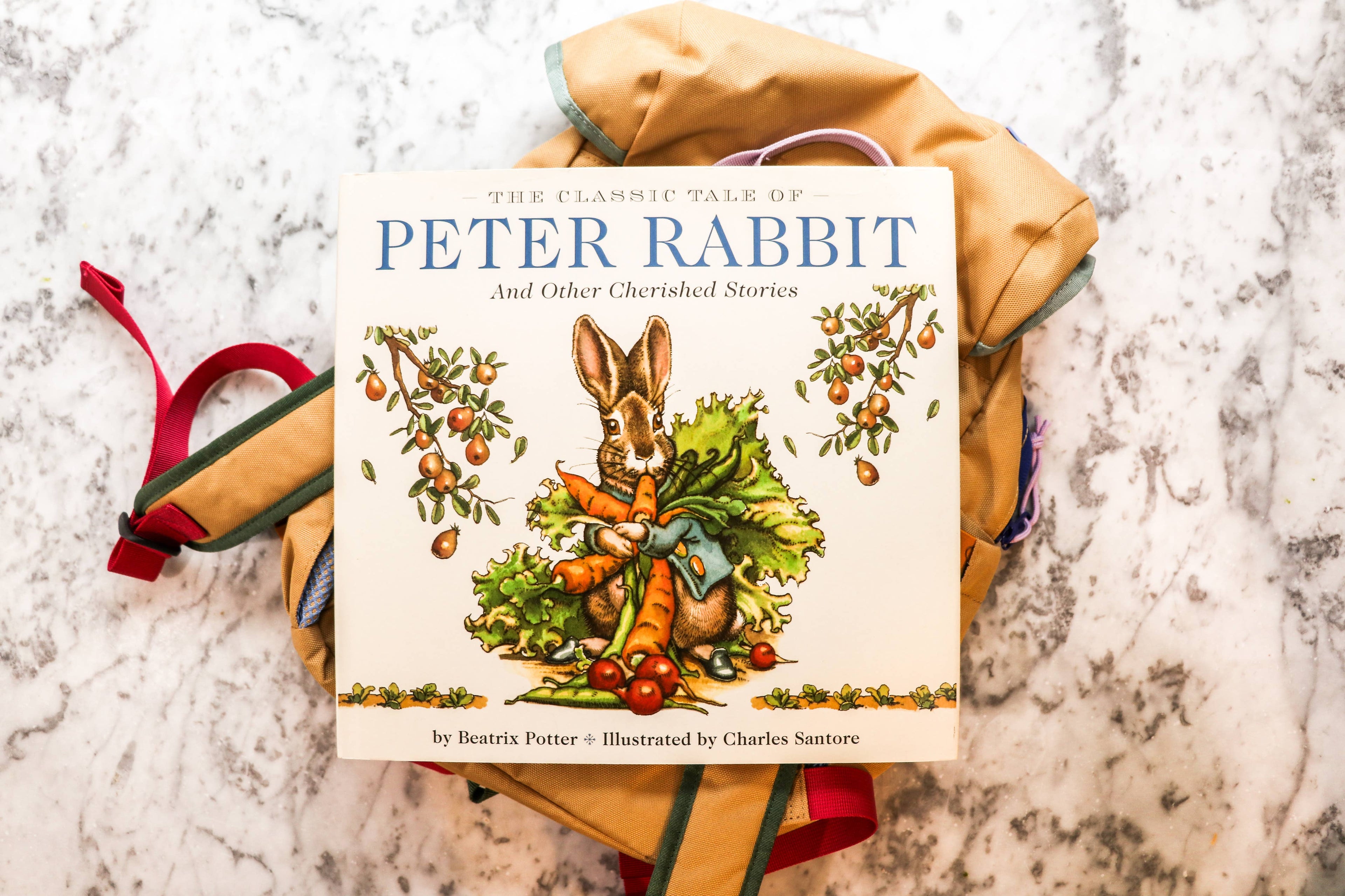 The Classic Tale of Peter Rabbit Hardcover: The Classic Ed