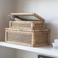 Display Boxes with Glass Lids, Set of 2