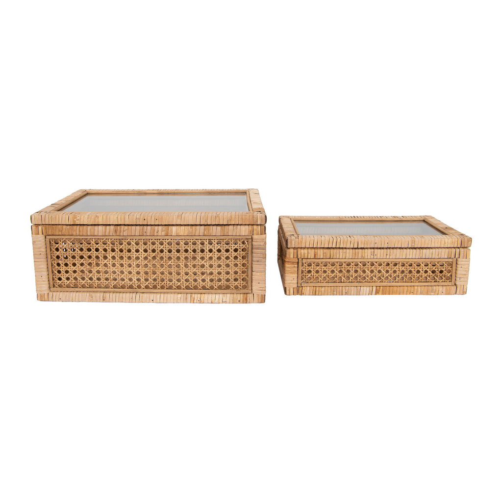 Display Boxes with Glass Lids, Set of 2