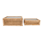 Display Boxes with Glass Lids, Set of 2