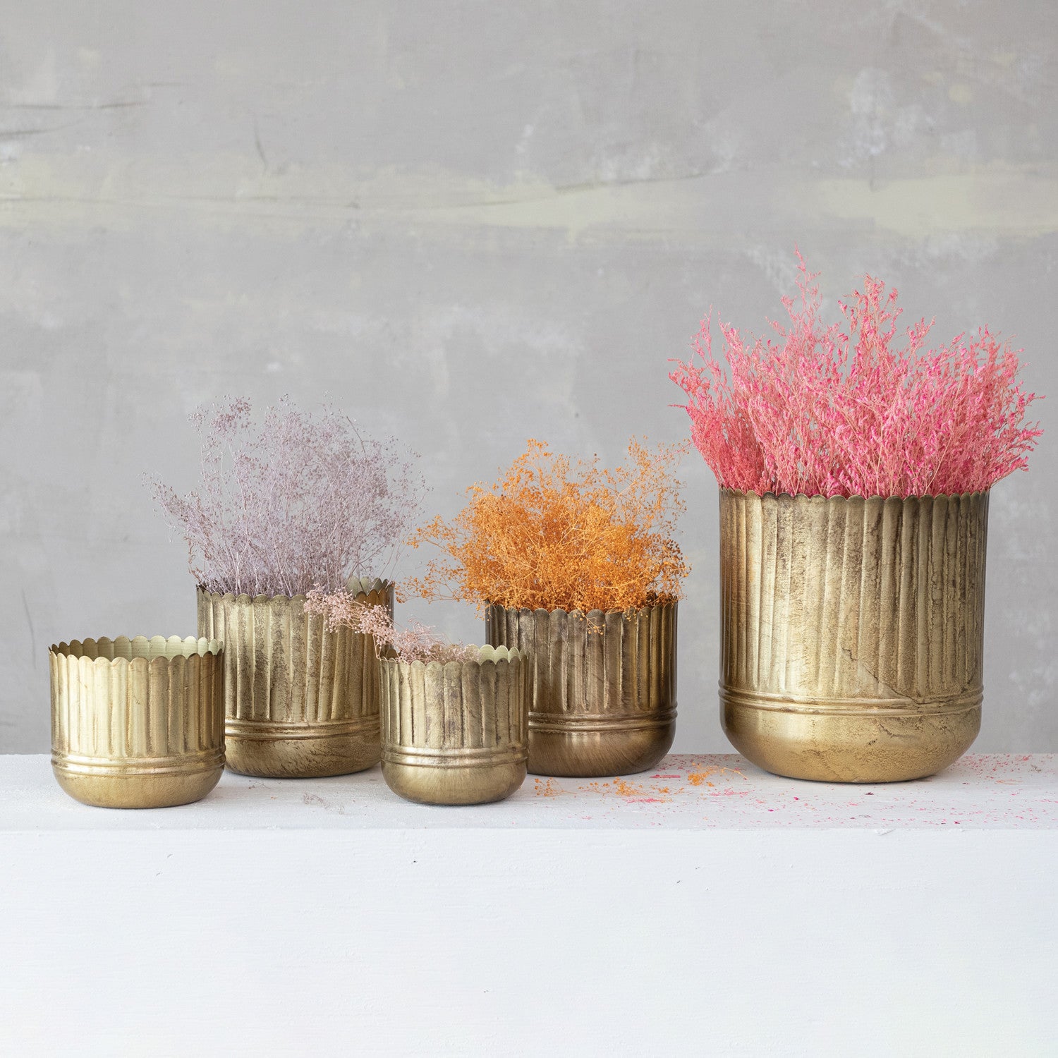 Metal Ribbed Planters with Scalloped Rim