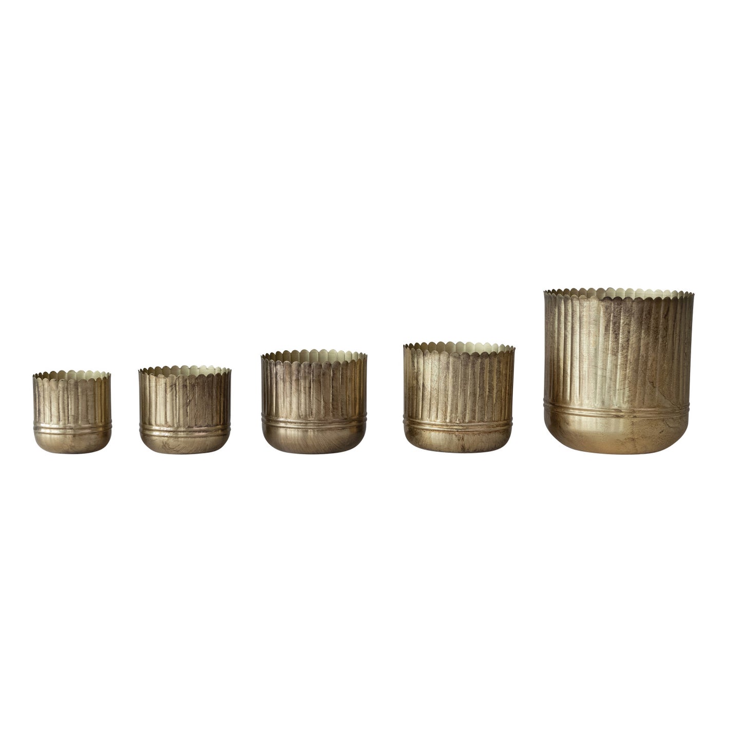 Metal Ribbed Planters with Scalloped Rim