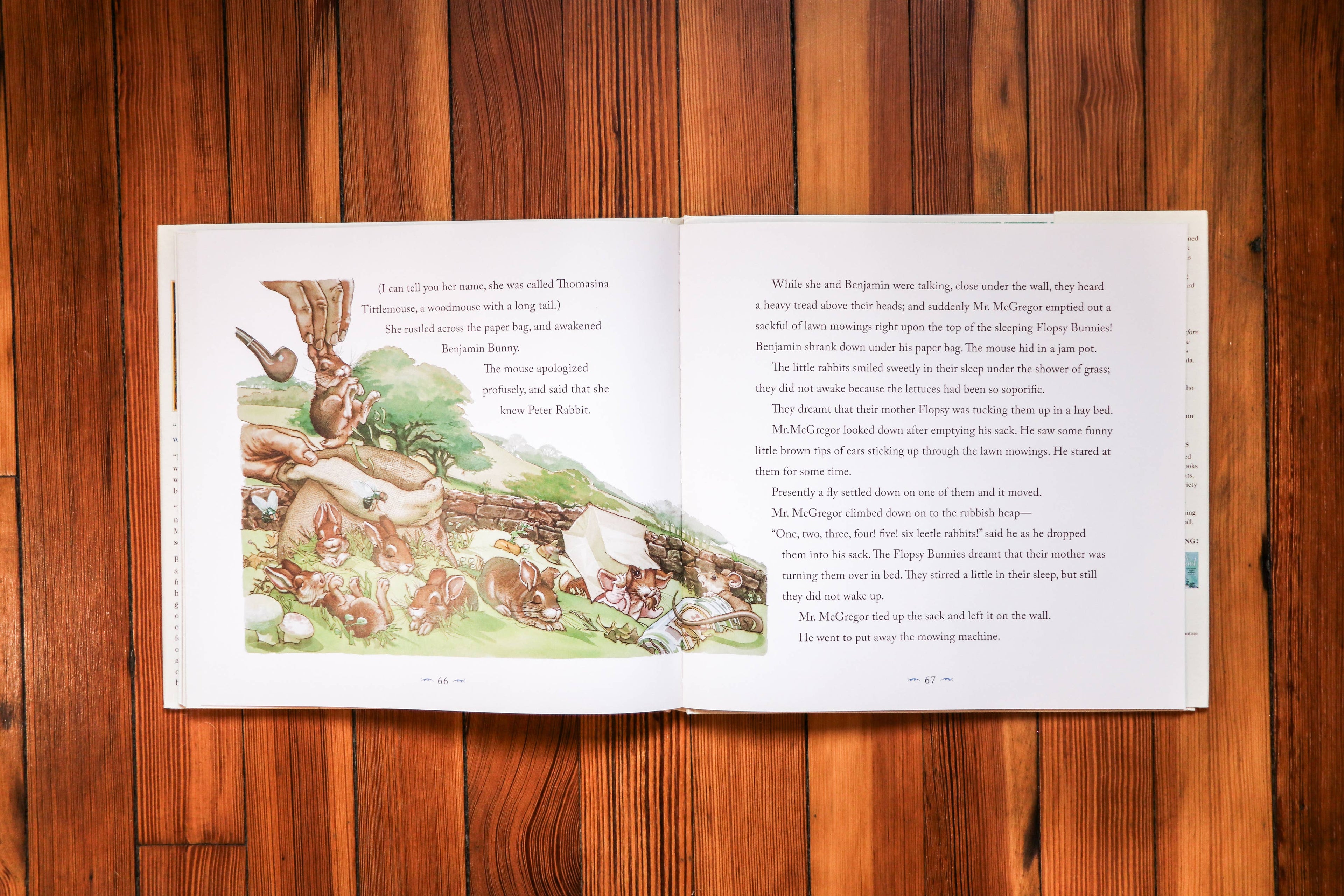 The Classic Tale of Peter Rabbit Hardcover: The Classic Ed