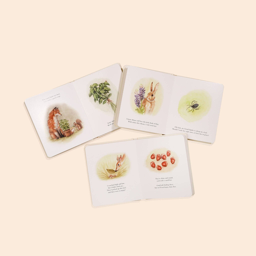 Our Little Adventures Box Set for Kids (3 Board Books)