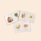 Our Little Adventures Box Set for Kids (3 Board Books)