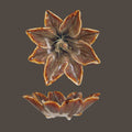 Stoneware Flower Shaped Dish (Each One Will Vary)