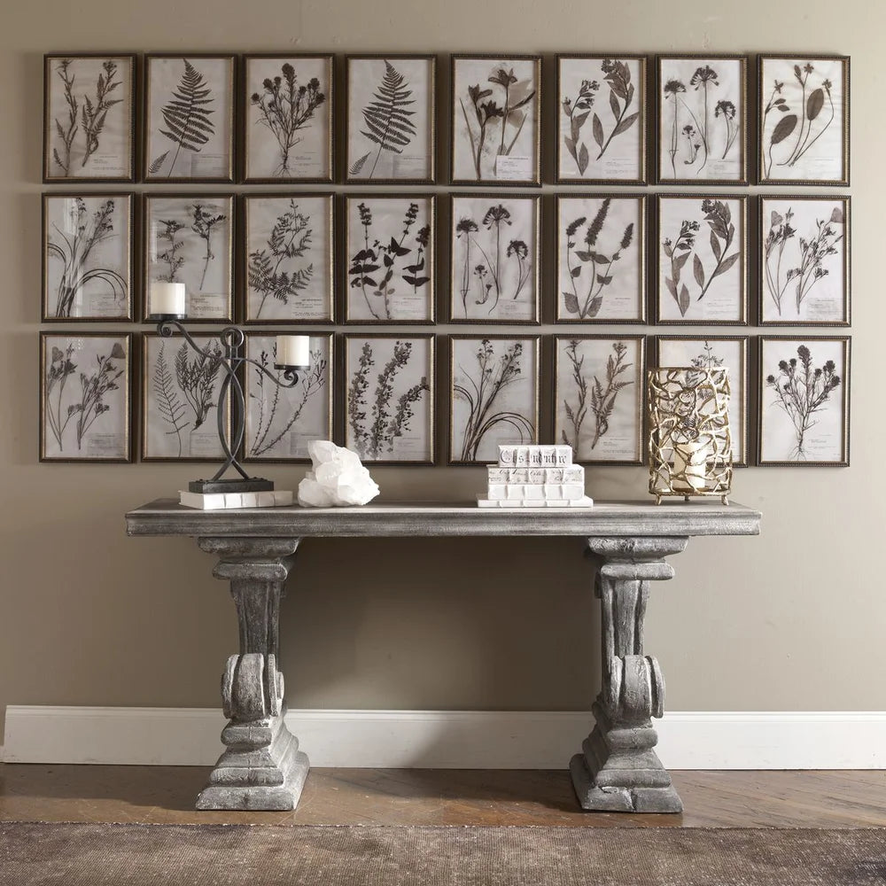 Botany Framed Prints- Set of 18